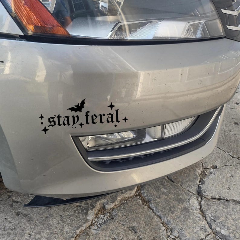May include: A silver car with a black vinyl decal that reads "stay feral" with a bat and stars on either side of the text.