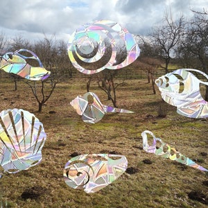 7 Muscheln Suncatcher, Muschel Fenster Aufkleber, Regenbogen-Maker, Muschel Suncatcher für Fenster, Regenbogen Suncatcher Aufkleber