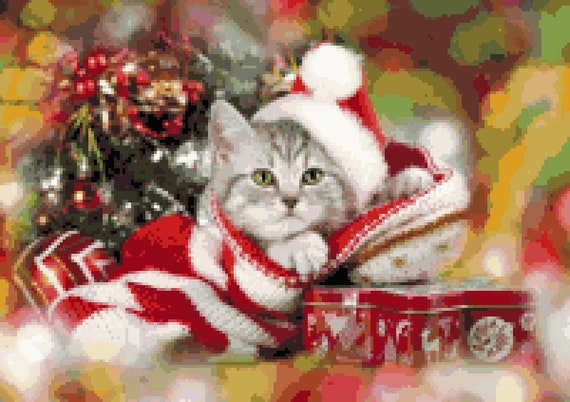 festive cat