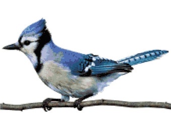 Bluejay Counted Cross Stitch Pattern - Blue Jay Bird Cross Stitch - Spring Summer Bird on Branch Cross Stitch Pattern (PDF Download Pattern)