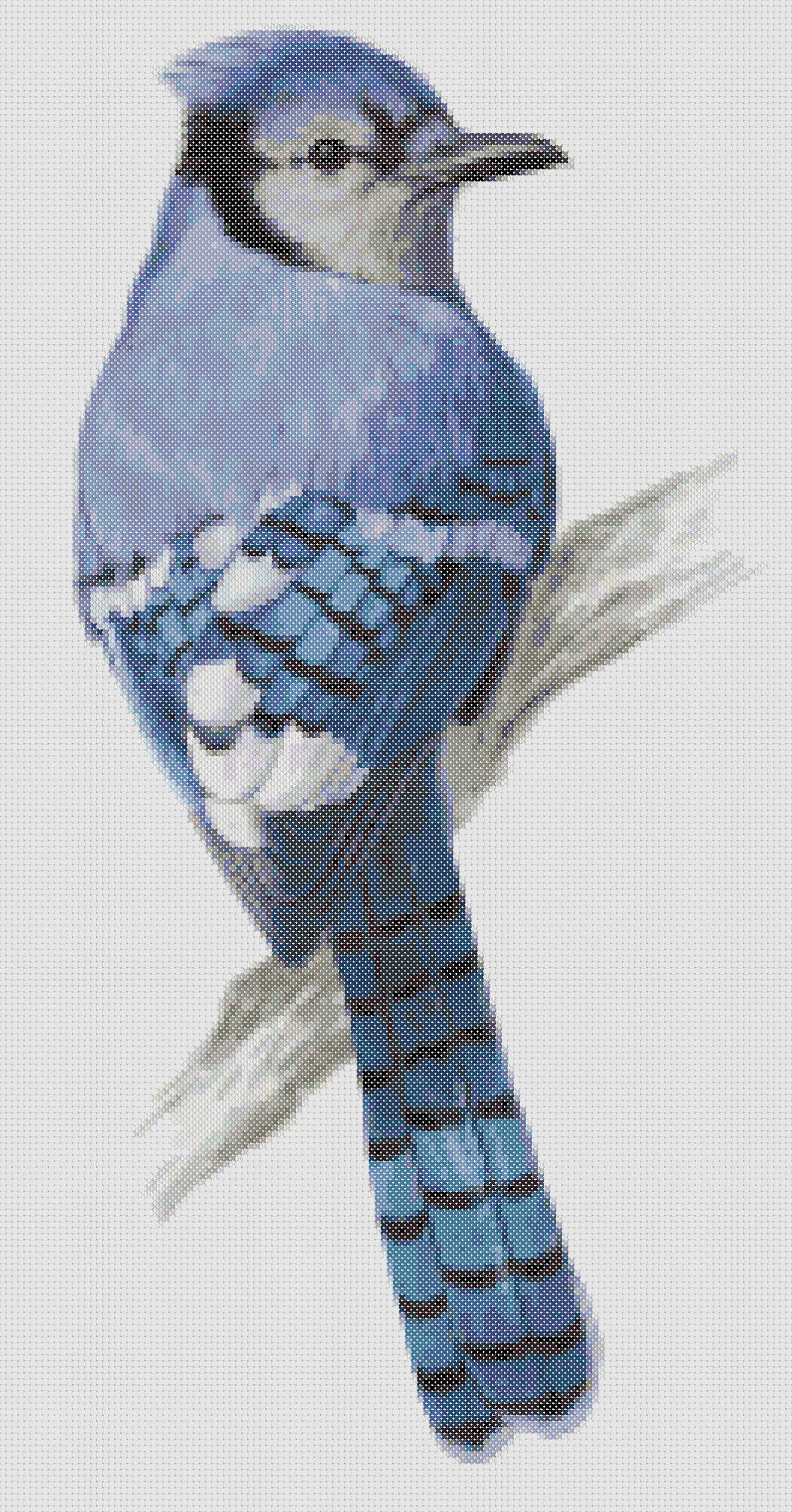 Hand Drawn Blue Jay Counted Cross Stitch Pattern Wild Bird Crossstitch