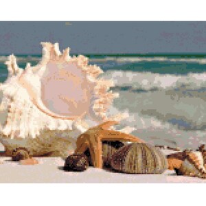 May include: A large white seashell with a ruffled edge sits on a sandy beach with smaller seashells and a starfish.
