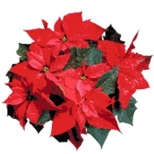 Poinsettia Plant Cross Stitch Pattern - Poinsettias Flower Counted Cross-Stitch Pattern - Red Christmas Flowers PDF Download