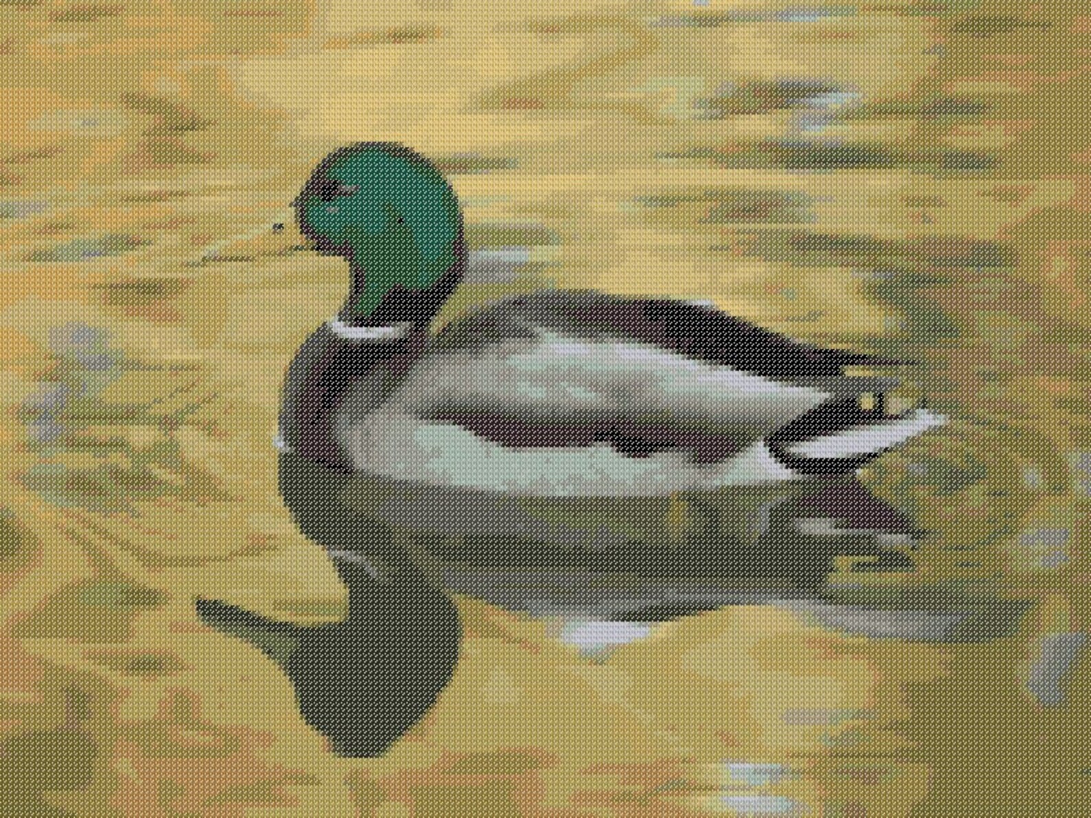 Mallard Duck Counted Cross Stitch Pattern Duck Pixel Art Etsy