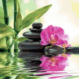 May include: A zen-inspired still life featuring a stack of smooth black stones, a pink orchid flower, and green bamboo stalks reflected in a rippling pool of water.