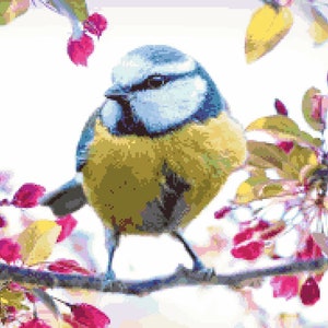 May include: A blue and yellow bird perched on a branch with pink blossoms. The bird has a blue head and a yellow body. The blossoms are in full bloom and are a vibrant pink colour.