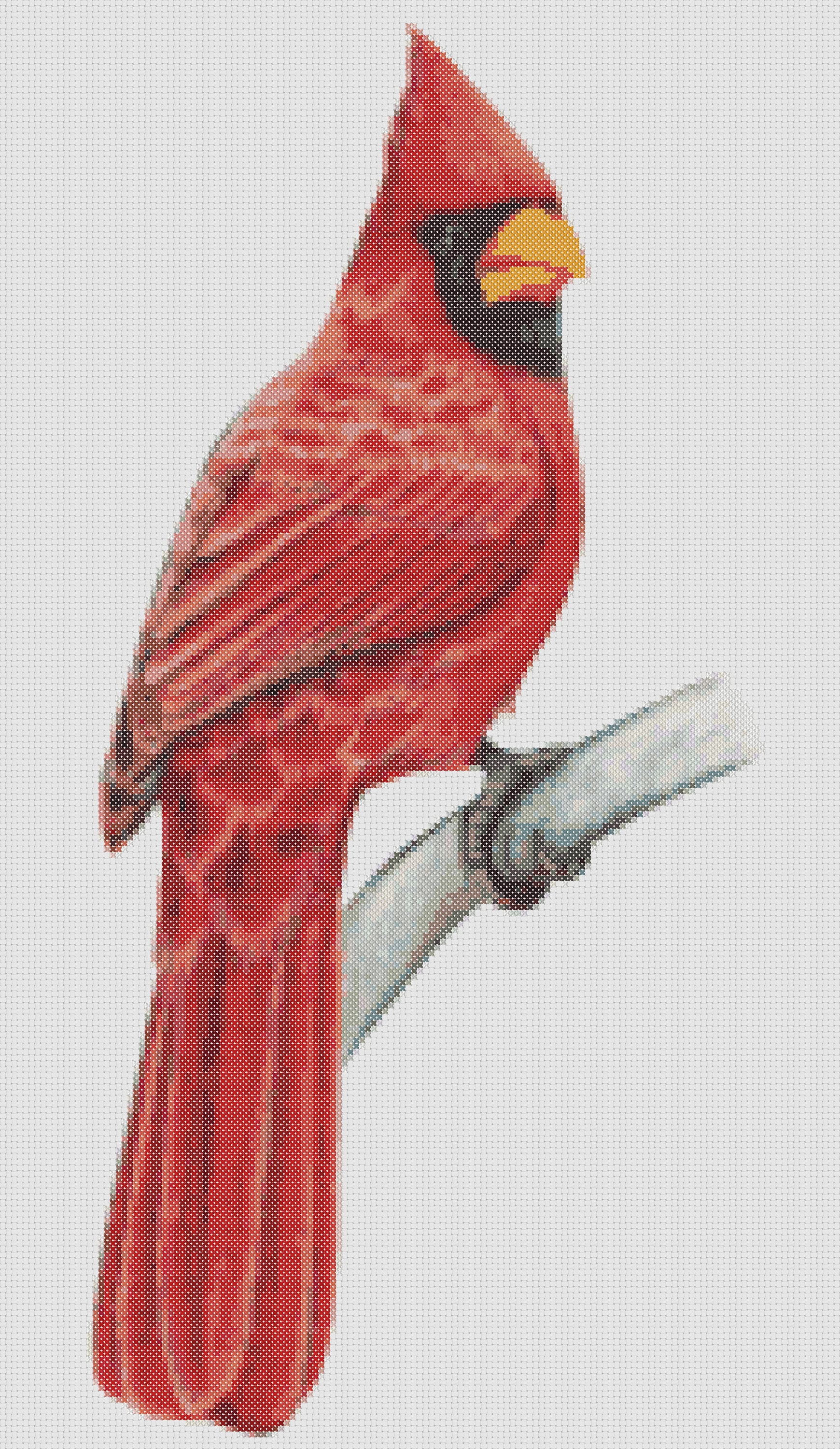 Hand Drawn Cardinal Counted Cross Stitch Pattern Wild Bird | Etsy