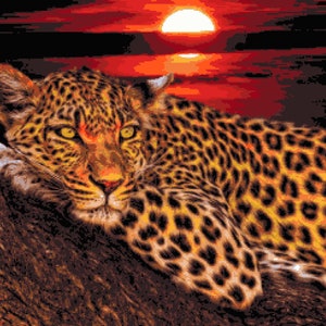 May include: A leopard with a spotted coat lies on a tree branch with a red sunset in the background.