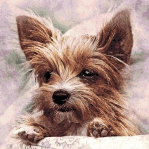 Puppy Love Cross Stitch Pattern - Yorkie Dog Counted Cross-Stitch Pattern - Dog Breed Yorkshire Terrier PDF Download