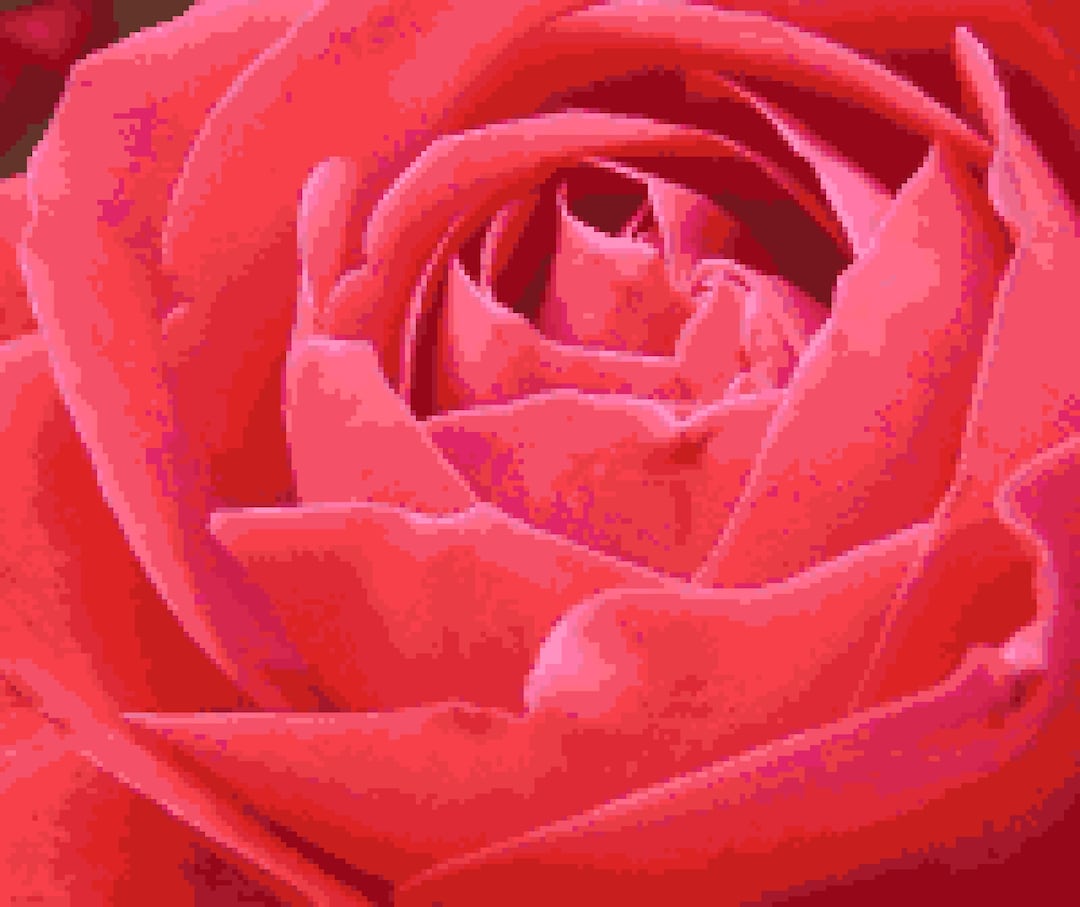 Contrast Stitching Rvk Roses Dark Pink Rose Cross Stitch Pattern - Rose Closeup Valentine Counted ...