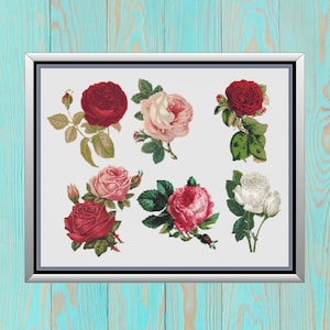 Vintage Multicolor Roses Cross Stitch Pattern, Old Fashioned Flowers Counted Needlework, Red Pink White Floral Collage, Instant PDF Download