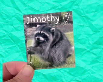 Jimothy cute raccoon vinyl water resistant sticker
