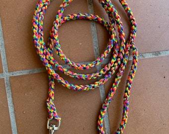 Neon Fiesta Dog Leash