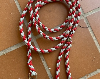 Red and Silver Dog Leash