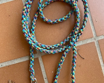 Fiesta Dog Leash