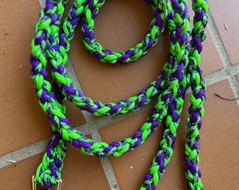 Frankenstein Dog Leash