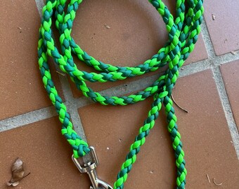 Shades of Green Dog Leash