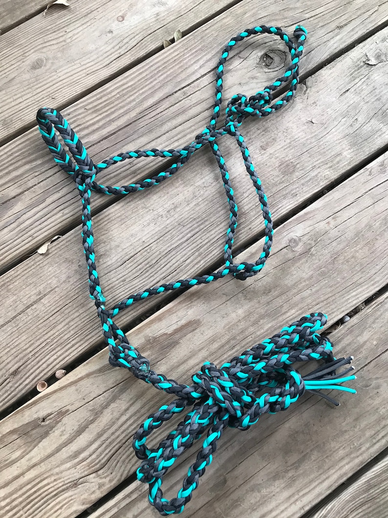 Retro Turquoise Halter and Lead Rope Etsy