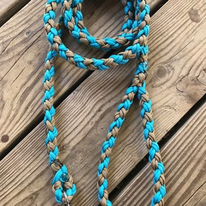 Tan and Turquoise Dog Leash