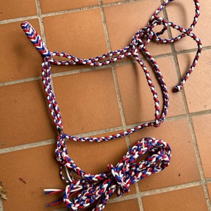 Retro American Halter with Lead Rope