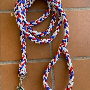 American Dog Leash
