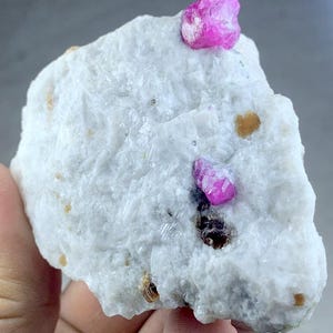 May include: A rough, white mineral specimen with two vibrant pink ruby crystals. The ruby crystals are faceted and stand out against the textured, light-colored matrix. Small, brown inclusions are also visible.