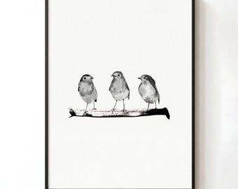 Three Little Robins Art Print: Black and White Bird Illustration, unframed on watercolor paper