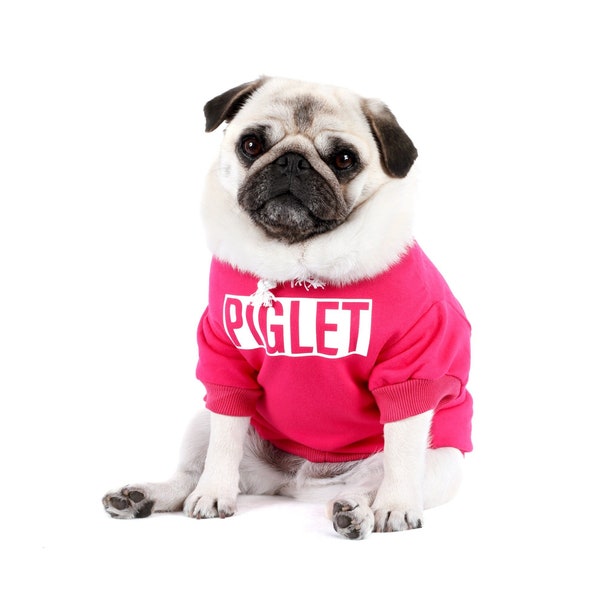 Personalised Any Name Dog Hoodie - Customised Name Dog Hoodie - Dog Sweater - Dog Jumper - Dog and Puppy Clothing