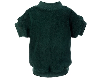 green dog sweater