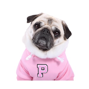 Puede incluir: Un pug marrón claro con una sudadera con capucha rosa con una "P" blanca en la parte delantera.