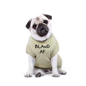 Designer Dog Tshirt - Bland AF T-Shirt for Dogs and Puppies - Dog Shirts - Dog Clothes - Dog Gift - XS to 4XL - Quality Dog Clothing
