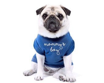 May include: A light beige pug dog wearing a blue t-shirt with the white text "mommy's boy". The dog is sitting and looking directly at the camera against a white background. The dog has black markings around its eyes and ears.