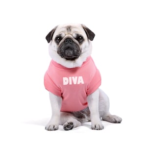 Designer Dog Tshirt - Diva T-Shirt for Dogs and Puppies - Dog Shirts - Dog Clothes - Dog Gift - XS to 4XL - Quality Dog Clothing