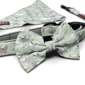 May include: A light green dog collar and bow tie set featuring a shark pattern. The collar is made of grey fabric with a black buckle. The bow tie is made of the same fabric as the collar and has a black bow.