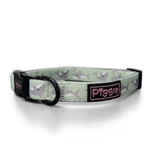 BARKY SHARKY Dog Collar - Quality Dog Accessories - Dog and Puppy Collar