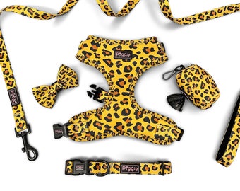 LEO-PAWD POWER Dog Harness Bundle - includes Dog Collar and Dog Lead - Quality Dog Accessories - Discounted Bundle Price