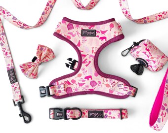 Arnés para perros PIG-TURE PERFECT: incluye collar y correa - Accesorios de calidad - Precio reducido