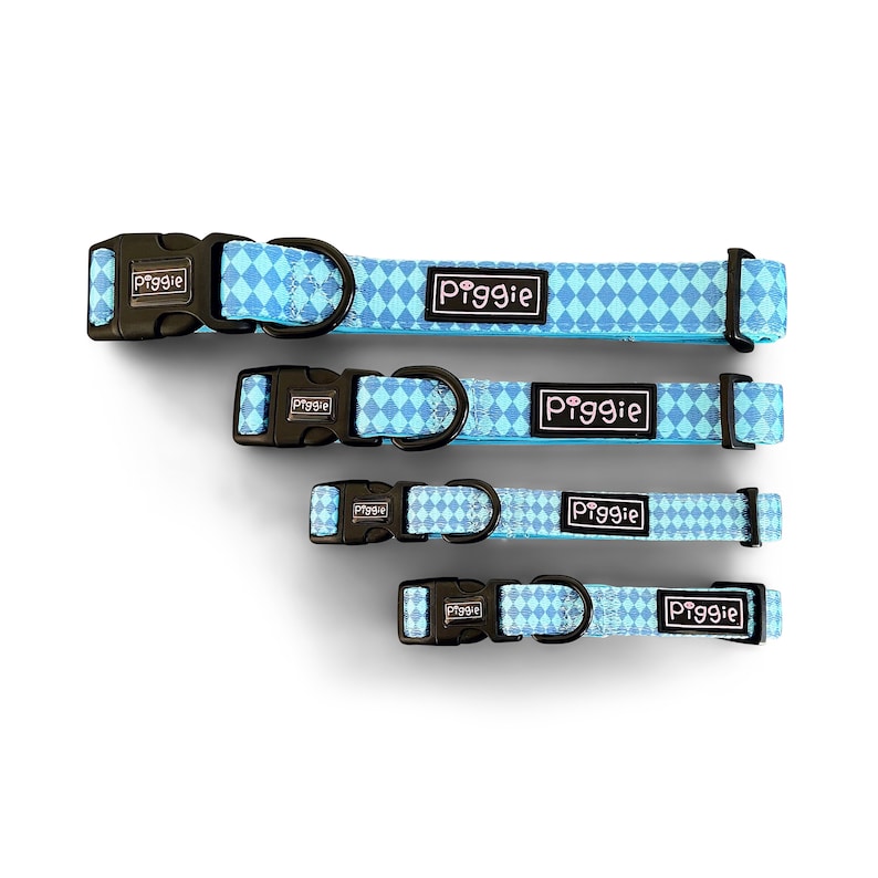 Dog Collar, Dog Leash, Dog Lead, Matching Dog Accessories, Adjustable Dog Harness, Puppy Collar, Dog Bandana, Dog Bow Tie, Gifts for Dogs, Dog Birthday, Dog Gift