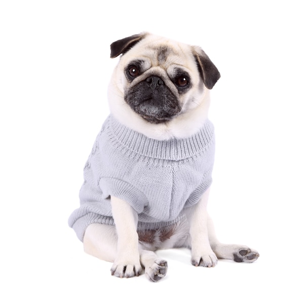Pull pour chien en maille torsadée gris - Pull pour chien gris - Pull d'hiver pour chien gris - Vêtements pour chien/chiot