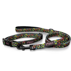 A Work Of Heart Pride Pattern Dog COLLAR and LEAD SET, Dog Collar and Leash, Puppy Collar, Dog Gift