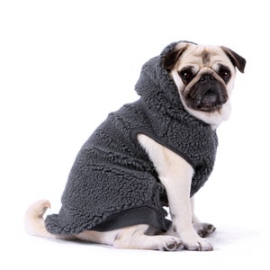 Pode incluir: Um pug vestindo um su&eacute;ter de l&atilde; cinza com capuz. O su&eacute;ter tem uma textura macia e felpuda e um capuz que cobre a cabe&ccedil;a do c&atilde;o.