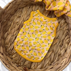 May include: A dog tank top with a repeating pattern of yellow lemons and green leaves on a light pink background. The tank top has yellow trim and is displayed in a woven basket. A matching lemon-printed accessory is also visible.