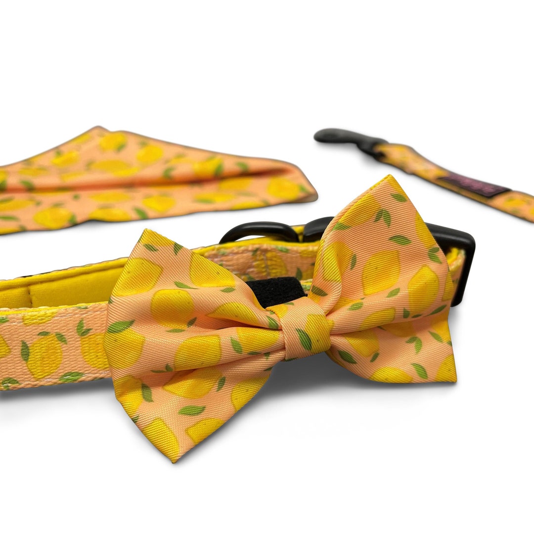 CITRUS GOT REAL Dog Bow Tie - Quick Fastening - Lemon Design Dog Bow ...