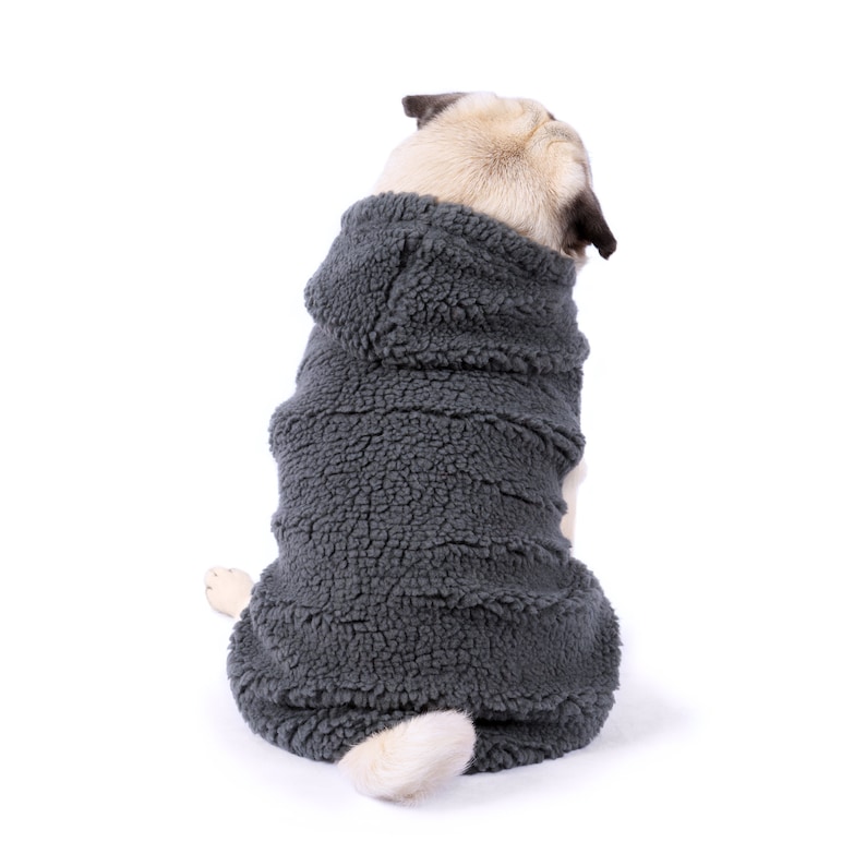 Pode incluir: Um pug vestindo um su&eacute;ter de l&atilde; cinza com capuz para c&atilde;es. O c&atilde;o est&aacute; sentado e olhando para tr&aacute;s por cima do ombro.