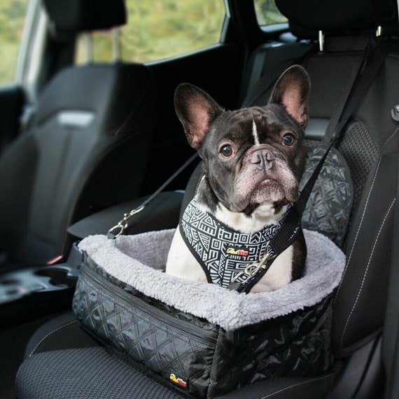 Existen los asientos de coche para perros pequeños y son geniales