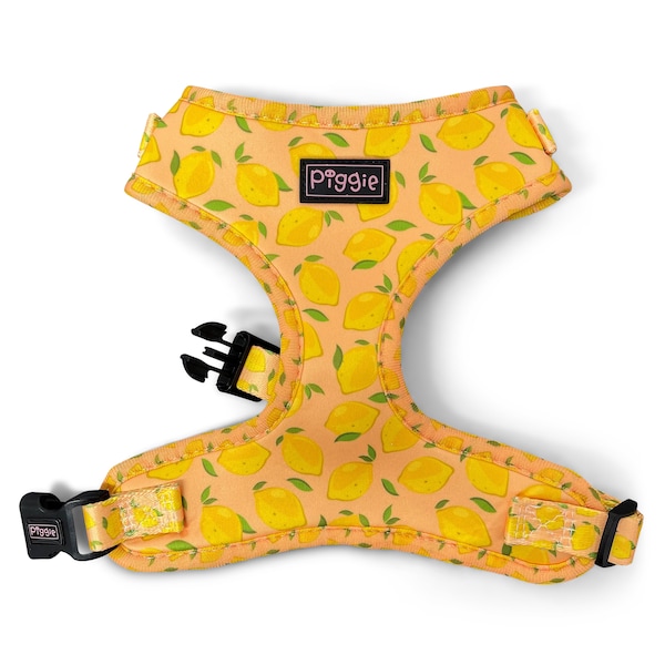 CITRUS GOT REAL Adjustable Dog Harness - Lemon Design Soft Padded Dog Harness - Quality Dog Accessories