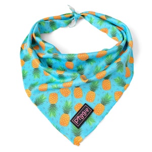 May include: A turquoise dog bandana with a repeating pattern of orange pineapples and green leaves. The bandana is tied at the top and features a black label with the word "piggies" in white.