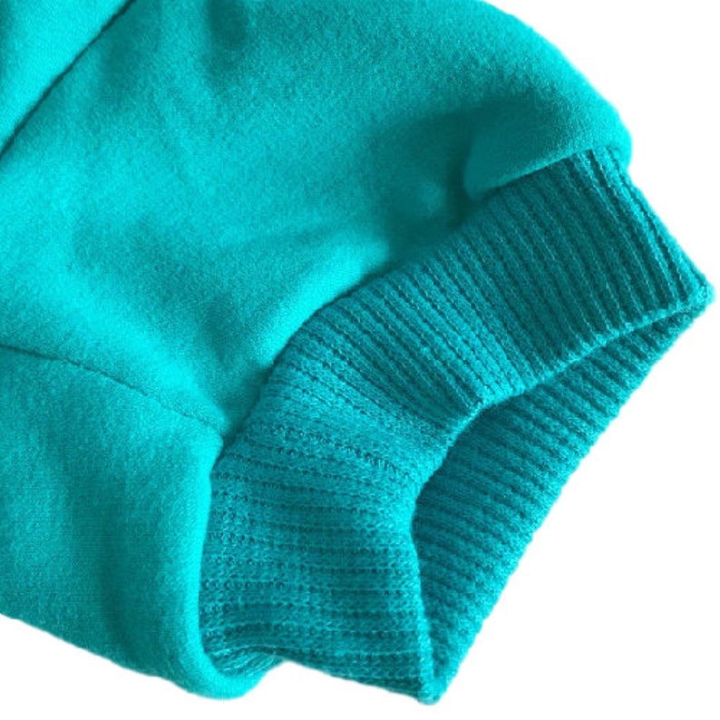 Aqua Dog Hoodie Aqua Dog Sweater Aqua Dog Jumper Dog/Puppy Clothing image 3