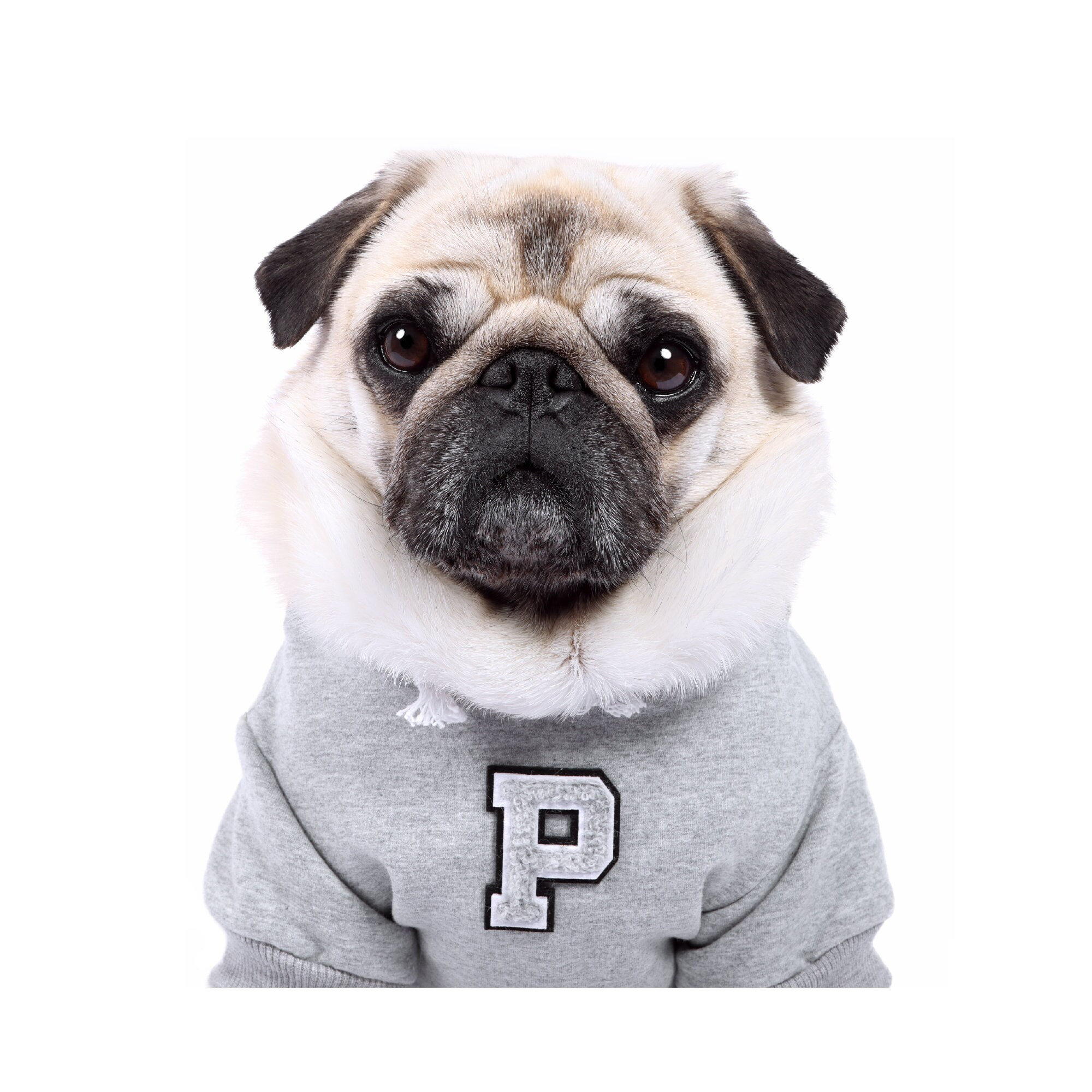 Chenille dog sweater hotsell