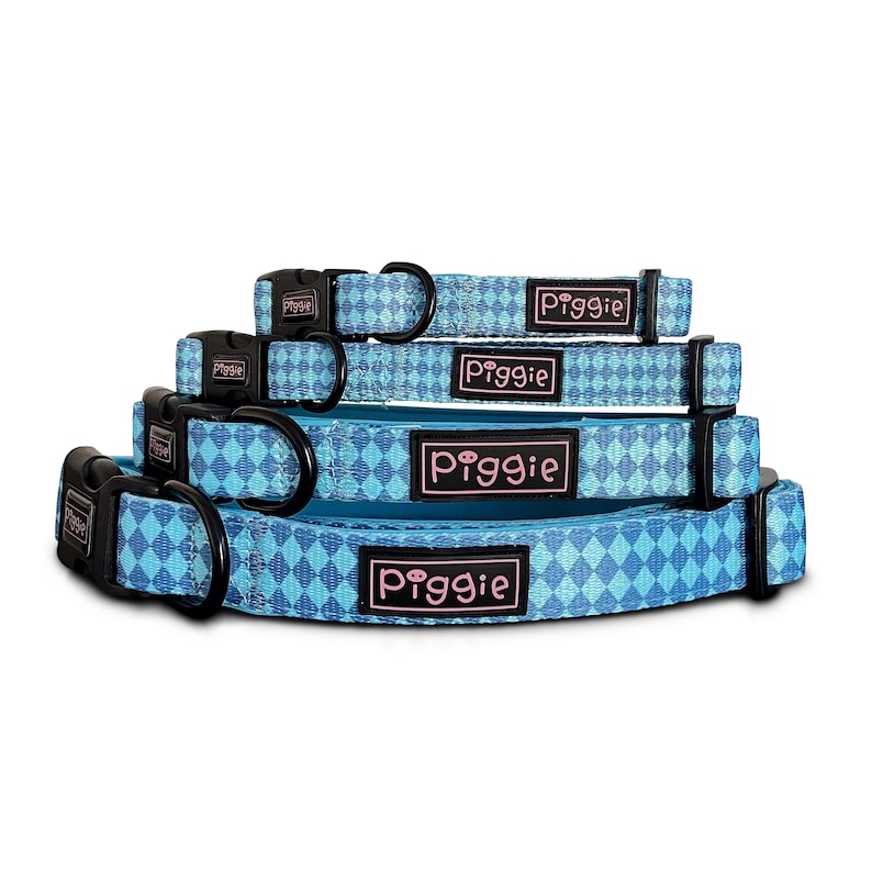 Dog Collar, Dog Leash, Dog Lead, Matching Dog Accessories, Adjustable Dog Harness, Puppy Collar, Dog Bandana, Dog Bow Tie, Gifts for Dogs, Dog Birthday, Dog Gift
